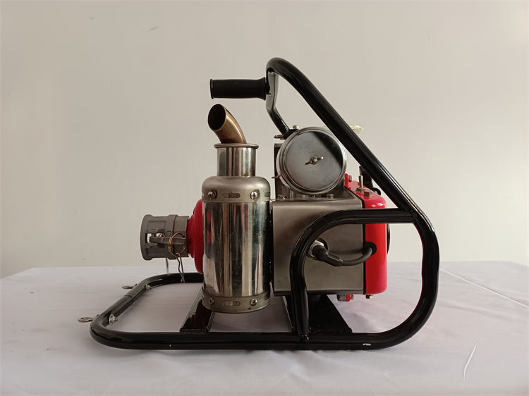 IMG_20211209_151004.jpg IMG_20211209_151004.jpg