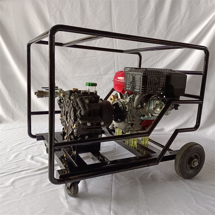 IMG_20220330_155304.jpg IMG_20220330_155304.jpg