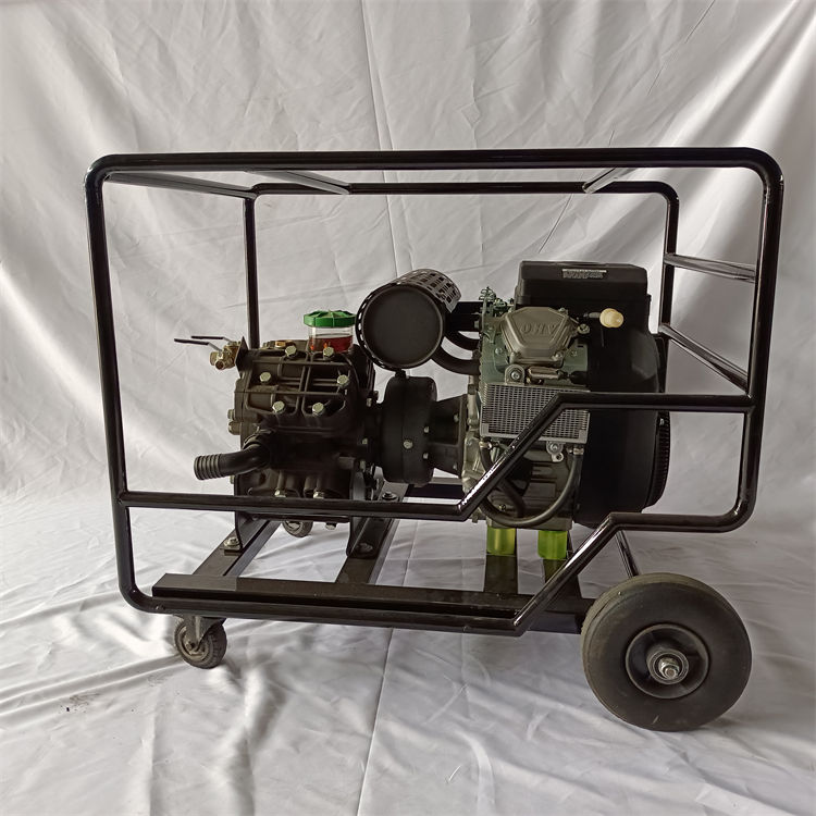 IMG_20220330_155611.jpg IMG_20220330_155611.jpg